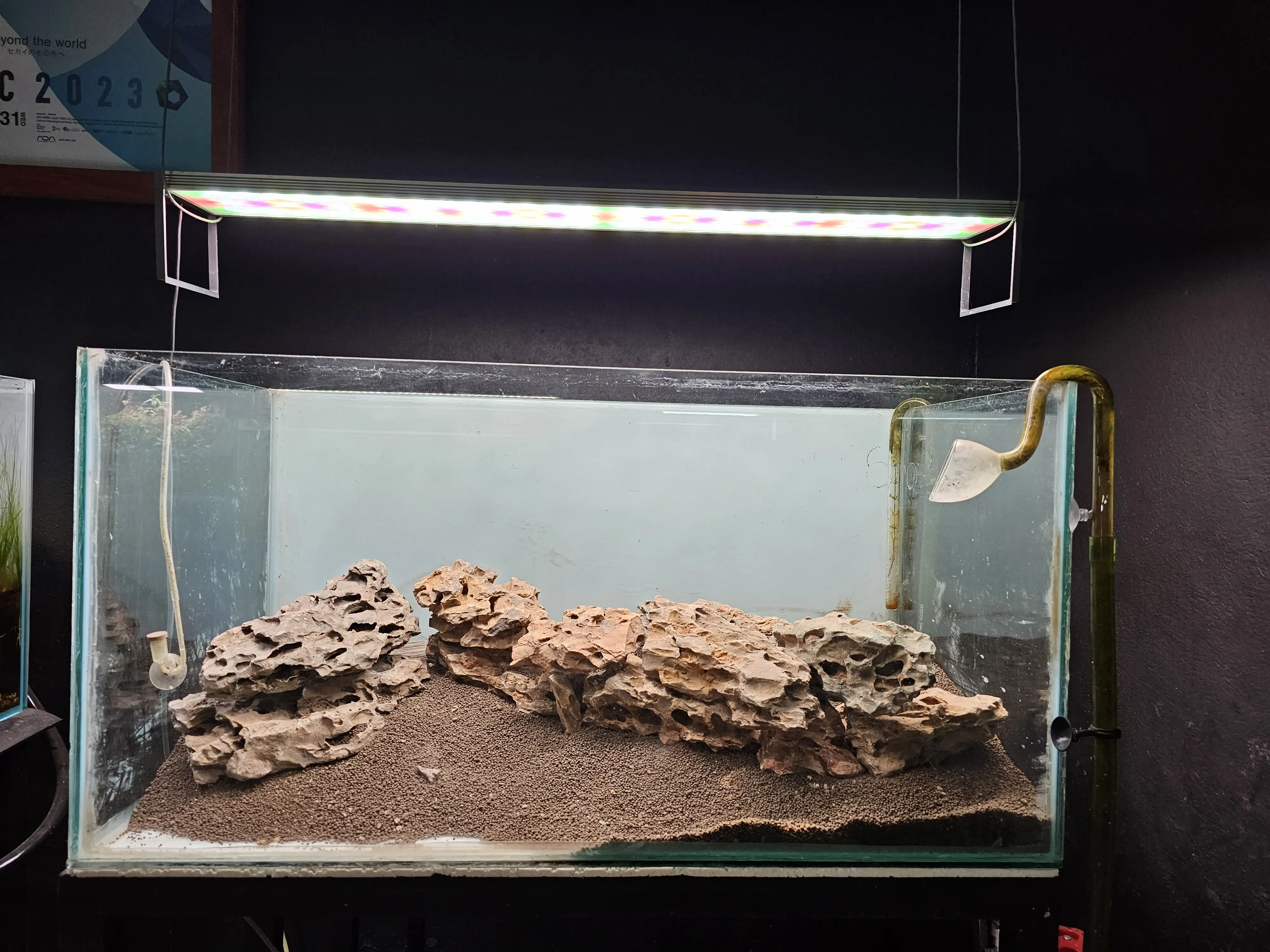 Aquascaping steps - Tigers in the Dragon - IAPLC 2025 Fine Works - Naadir Esmail / Mozambique